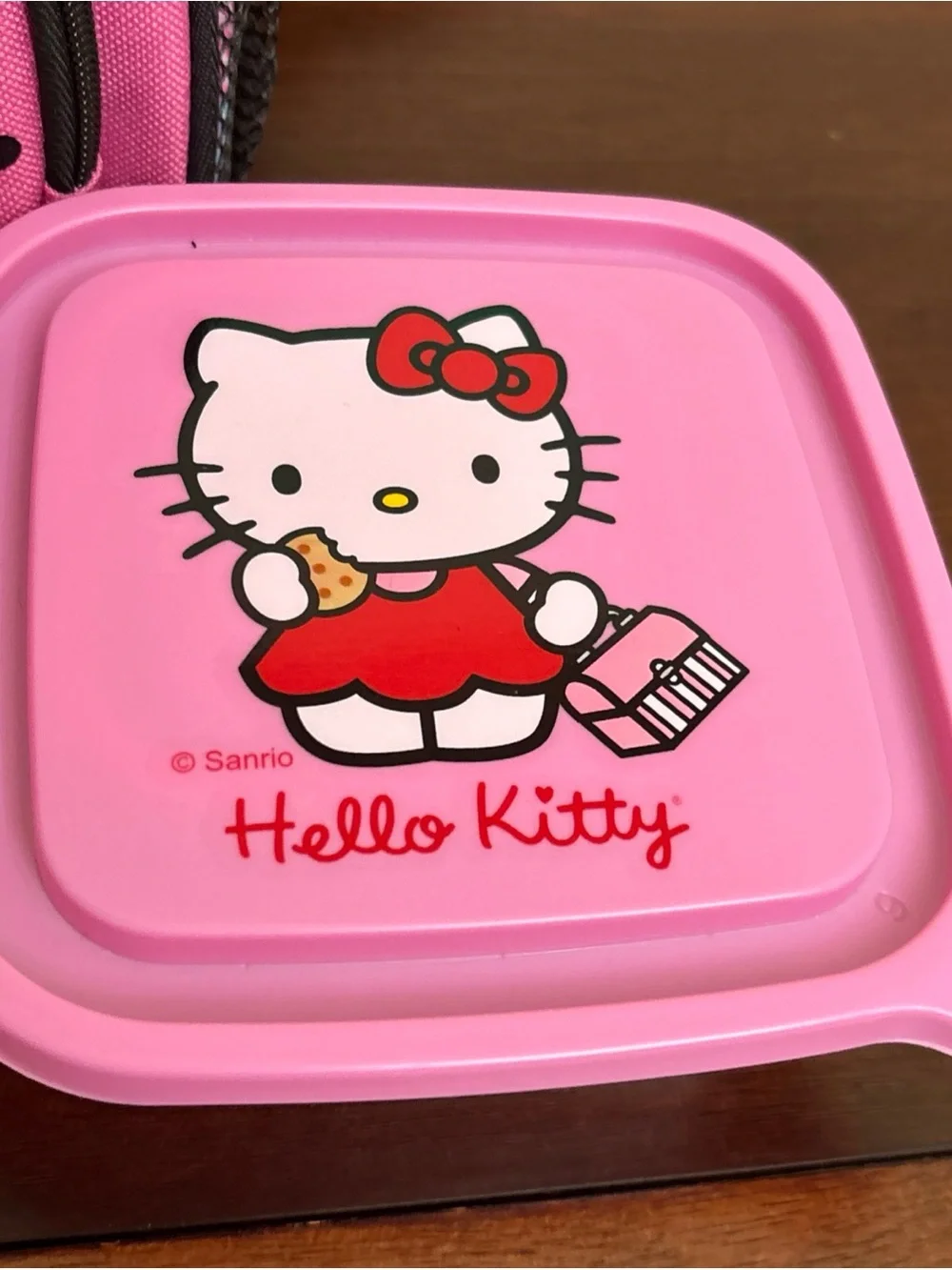 Hello Kitty Lunch Box Insulated Picnic School Pink Blue Plaid